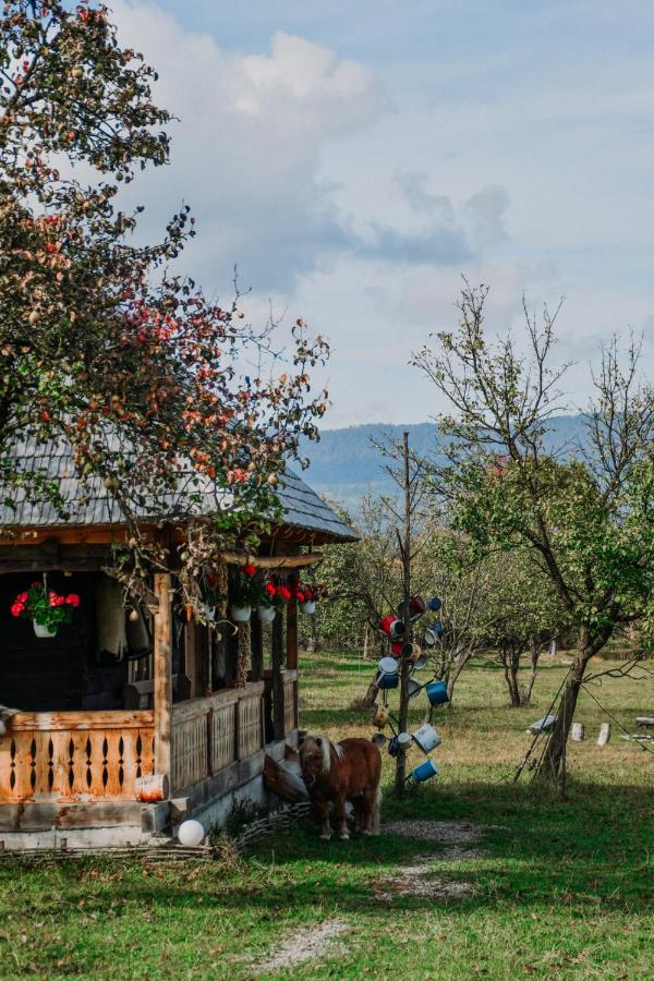 Casuta Din Gradina Apartamento Breb Exterior foto