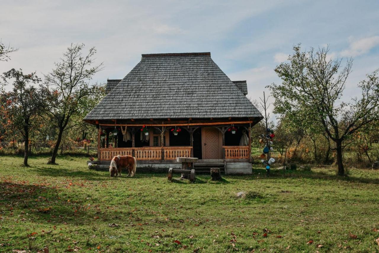 Casuta Din Gradina Apartamento Breb Exterior foto