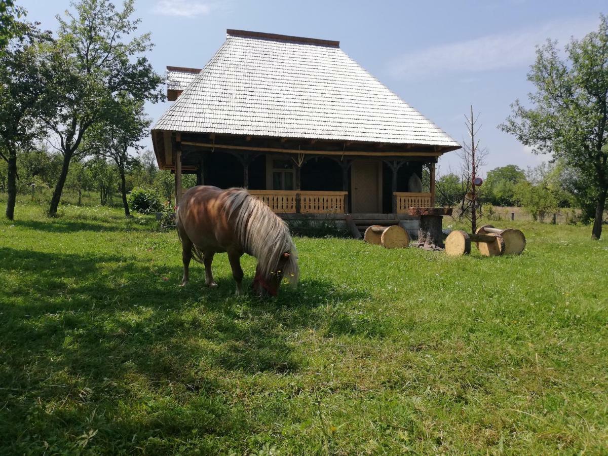 Casuta Din Gradina Apartamento Breb Exterior foto